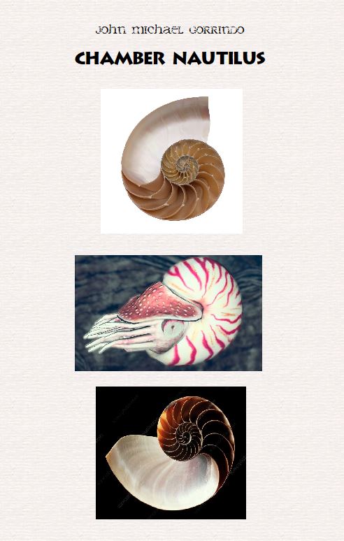 Chamber Nautilus